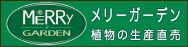 バナー広告　　　　　　メリーガーデン.jpg