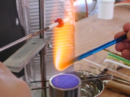 DSCN1514.JPG